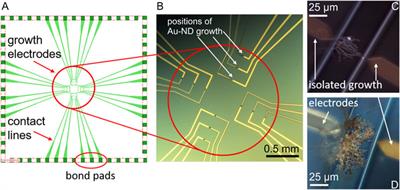 Synthesizing Electrodes Into Electrochemical Sensor Systems